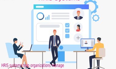 Streamline your HR operation with H2R.ai HR reporting software