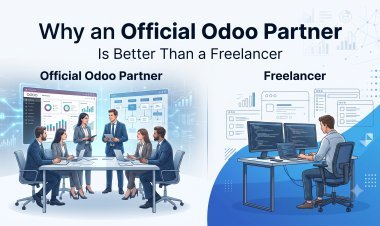 Why an Official Odoo Partner Is the Smarter Choice Than a Freelancer