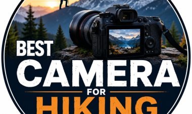 Top-Rated Cameras for Hiking and Travel Photography