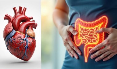 What Foods Support Both Heart and Digestive Health?