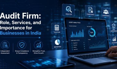 Audit Firm: Role, Services, and Importance for Businesses in India