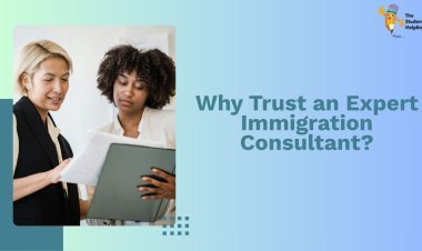 Why Trust an Expert Immigration Consultant?