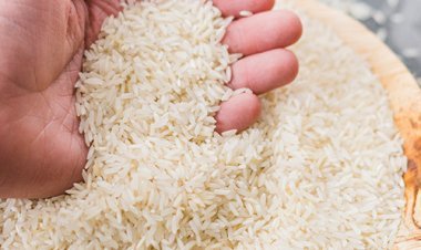 Rice Suppliers in Jaipur