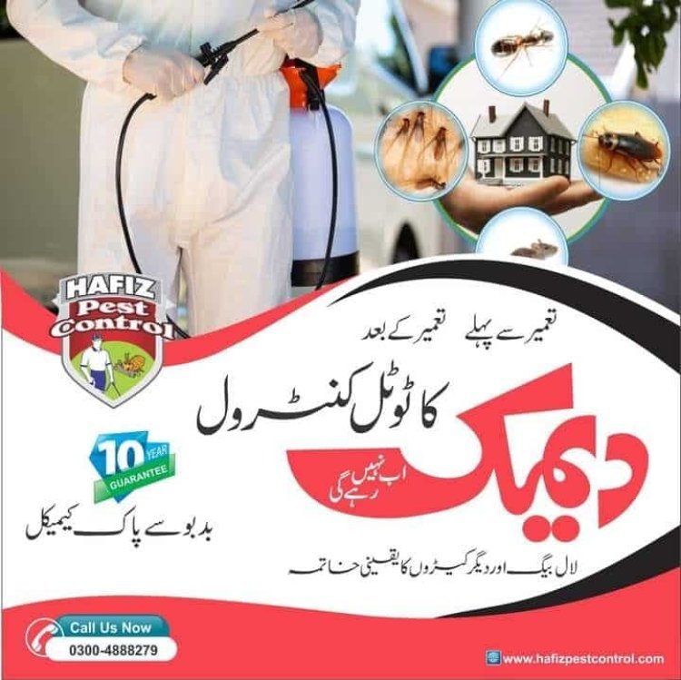 Pest Control & Pest Control Lahore | Hafiz Pest Control