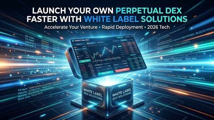 Launch Your Own Perpetual DEX Faster with White Label Solutions