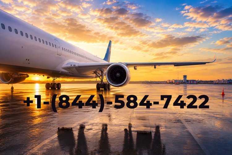 Expedia Refund Policy Explained: What Works and What Doesn't