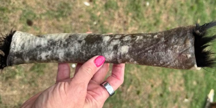 Is Natural Rawhide Bad for Dogs? What Every Dog Owner Should Know