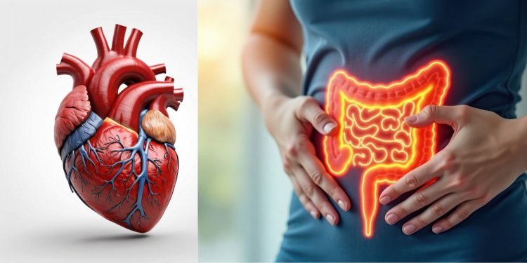 What Foods Support Both Heart and Digestive Health?