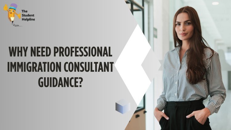 Why Need Professional Immigration Consultant Guidance?