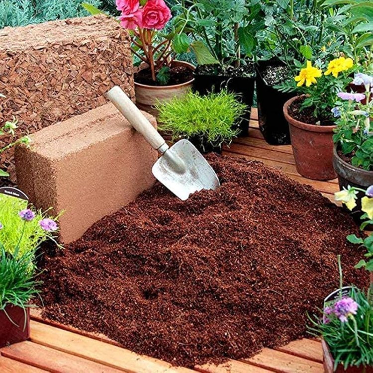 Cocopeat Suppliers in Delhi