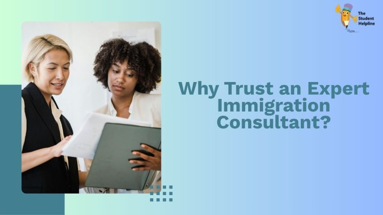 Why Trust an Expert Immigration Consultant?