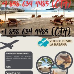 vuelosdesdelahabana