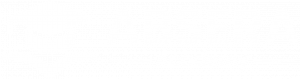 Absera Academy