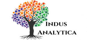 indus-analytica