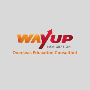 WayUp Abroad Consultant