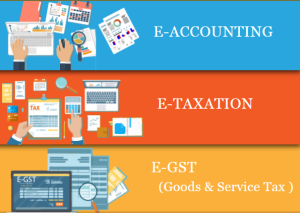 Accounting Course in Delhi, 110033, SLA Accounting Institute, Taxation and Tally Prime Institute in Delhi, Noida, September Offer'24