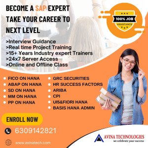 Avina Technologies - Sap Training Institute in Hyderabad  @ 9000055217