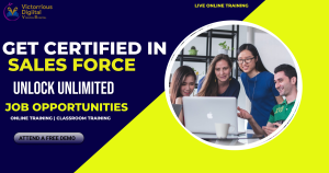 Best Salesforce Classes in Pune | Training Institute & Courses Pune
