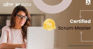 CSM Certification