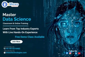 Data Science Training In Electronic City Bangalore