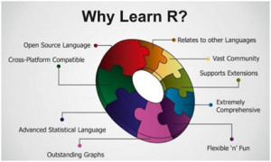 Data science with R programming course