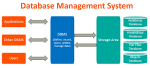 Database Management Training