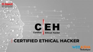 Ethical Hacking - CEH v11