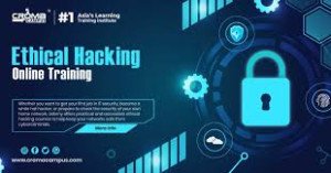 Ethical Hacking Course