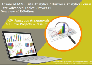 Excel Certification Course in Delhi, 110097. Best Online Live Advanced Excel Training in Indlore by IIT Faculty , [ 100% Job in MNC]