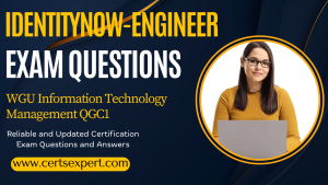 IdentityNow-Engineer Exam Dumps: Expert Solutions for Exam Excellence