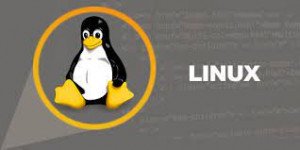 Linux Administration Online Training Course