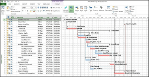 Microsoft Project (MS Project)