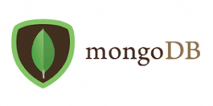 Mongo DB Course
