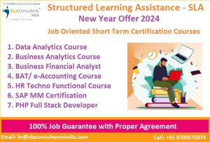 Online SAP FICO Certification in Delhi, 100% Job Guarantee, Free SAP Server for 3 Months, Best Accounting Job Oriented Training Institute [Update Skills in '24 for Best Salary]