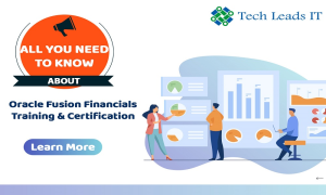 Oracle Fusion Financials Training | Tech Leads IT