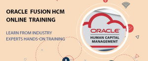 oracle hcm online training