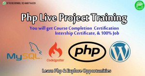 Php Live Project Training