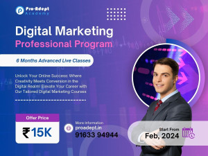 Professional Program in Digital Marketing