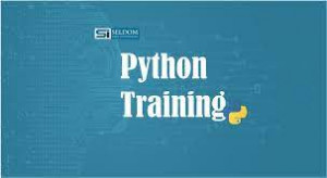 Python Certification Course, Python Training In Navi-Mumbai