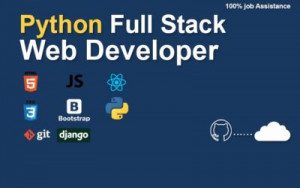 Python Full Stack Developer