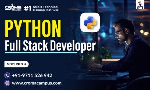 Python Full Stack Developer