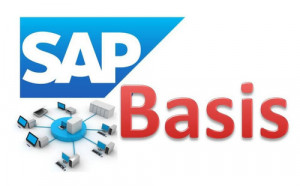 SAP Basis Course | SAP Basis Training Institute in Lucknow