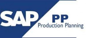 SAP PP Course