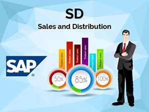 SAP SD Course | SAP SD Training Institute in Lucknow