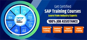 SAP training