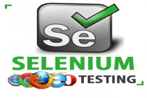 Selenium & Testing Course