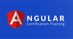 Angular Course