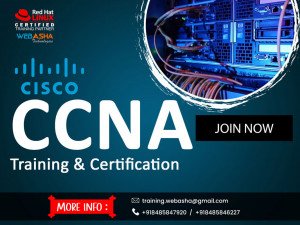 CCNA Training Institute & Certification Exam Center