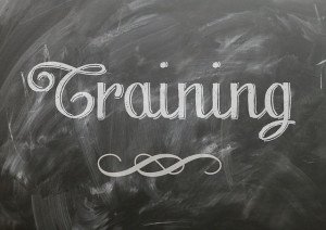 Certificate Online Reputation Management