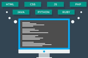 CS/IT Courses